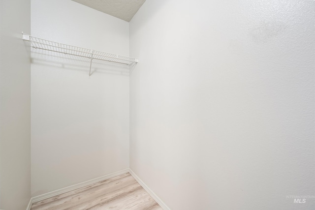 spacious closet featuring light wood-type flooring