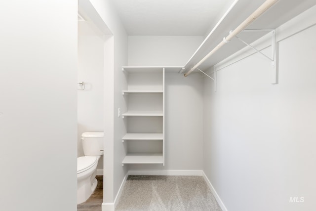 4352 N Glassford Ave, Meridian, ID 83646 - walk in closet featuring carpet