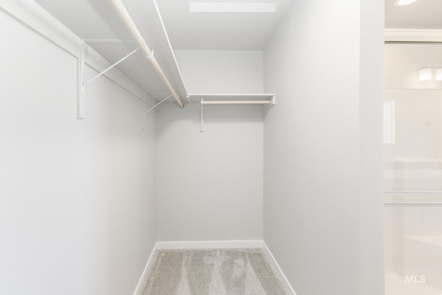 4352 N Glassford Ave, Meridian, ID 83646 - walk in closet featuring carpet floors