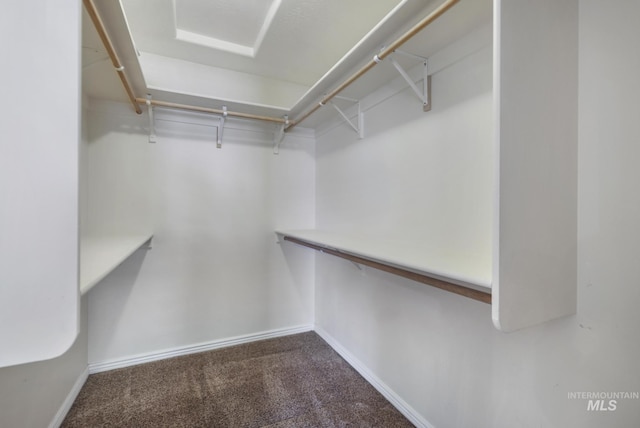 2563 Paintbrush Dr, Twin Falls, ID 83301 - walk in closet featuring carpet flooring