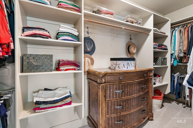 998 E Shadow Creek Ln, Eagle, ID 83616 - spacious closet with carpet flooring