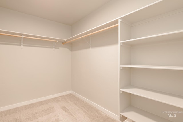 spacious closet with light colored carpet