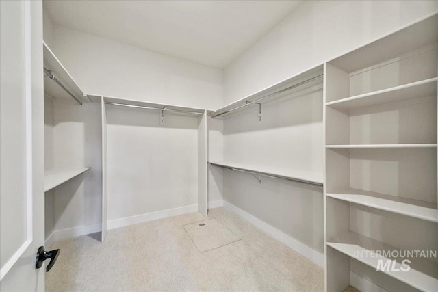 6356 S Cubola Way, Meridian, ID 83642 - walk in closet with carpet flooring