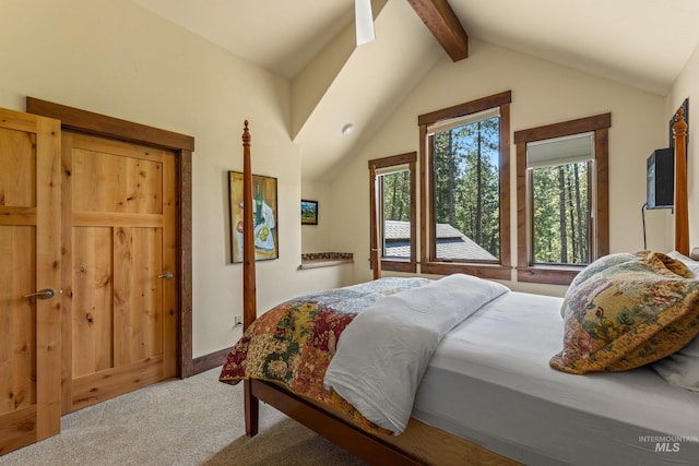 278 Elk Lake Rd, New Meadows, ID 83654 - view of carpeted bedroom