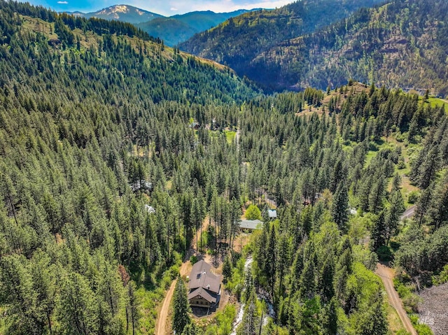 278 Elk Lake Rd, New Meadows, ID 83654 - aerial view of a forest and a mountainous background