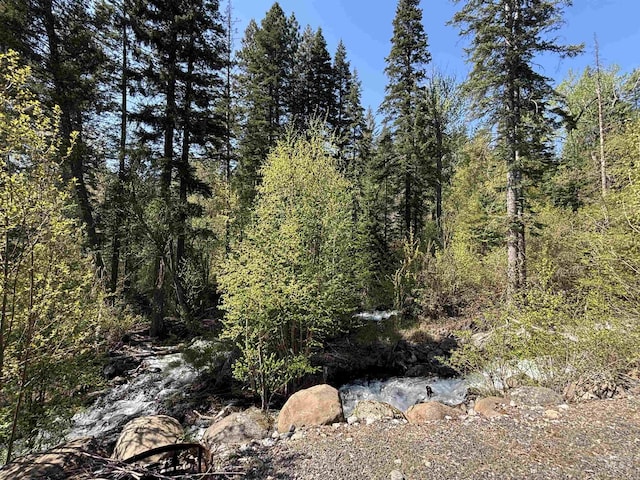 278 Elk Lake Rd, New Meadows, ID 83654 - view of wooded area