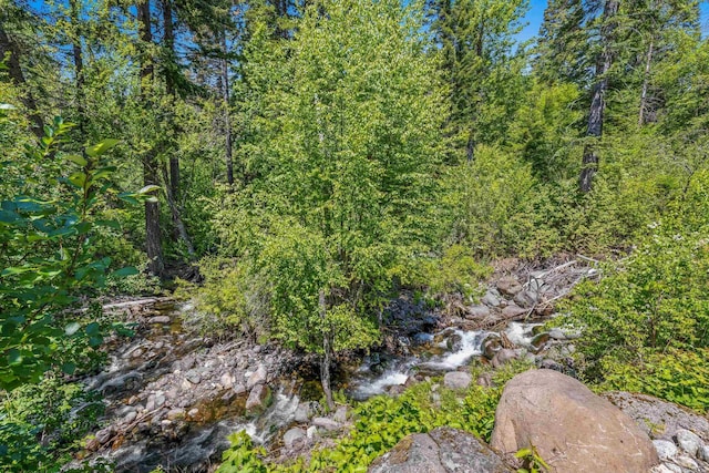 278 Elk Lake Rd, New Meadows, ID 83654 - view of yard featuring a forest view