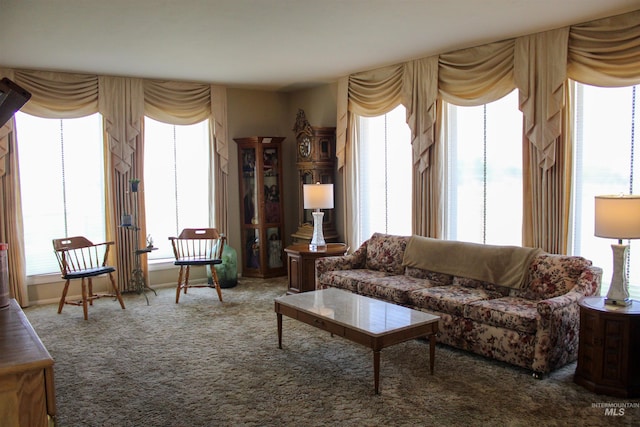 living room with a healthy amount of sunlight and carpet