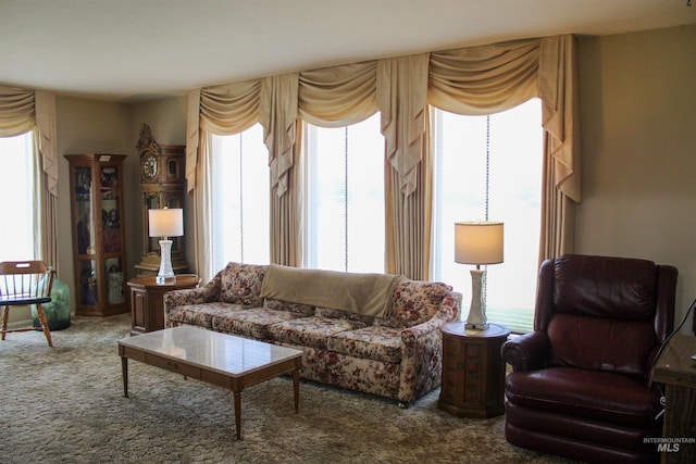 living room featuring a wealth of natural light and carpet