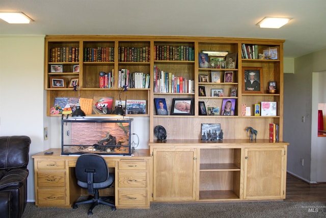 office featuring dark hardwood / wood-style floors