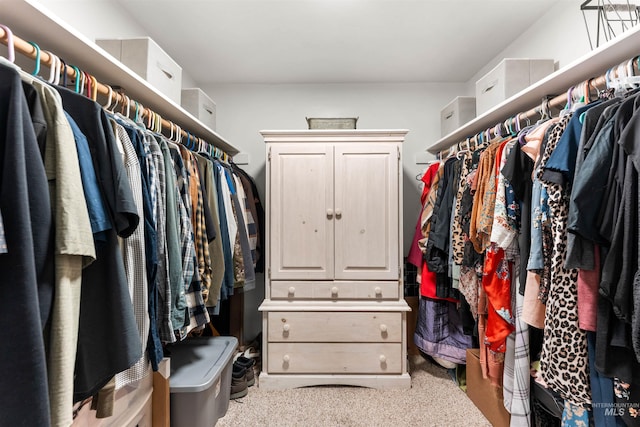 spacious closet featuring carpet flooring
