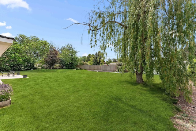 view of yard