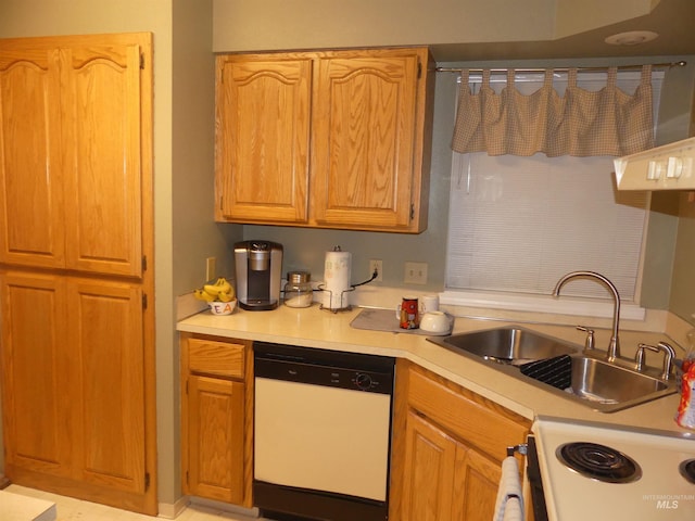 3213 5th St Unit A, Lewiston, ID 83501 - kitchen featuring a sink, white dishwasher, and light countertops