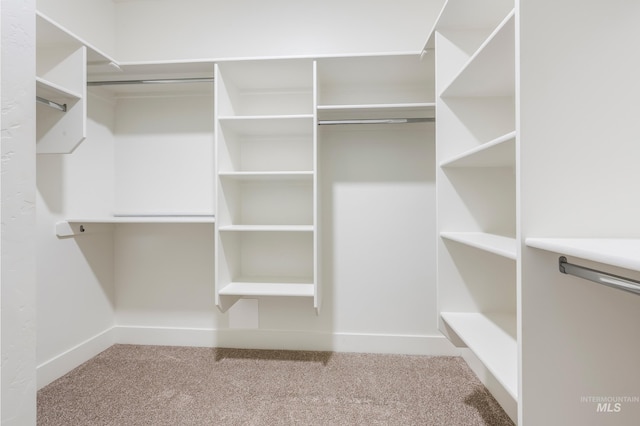 spacious closet with carpet floors