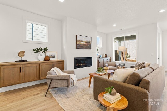 2349 E Valensole St, Meridian, ID 83642 - living room featuring light wood-type flooring, a fireplace, and recessed lighting
