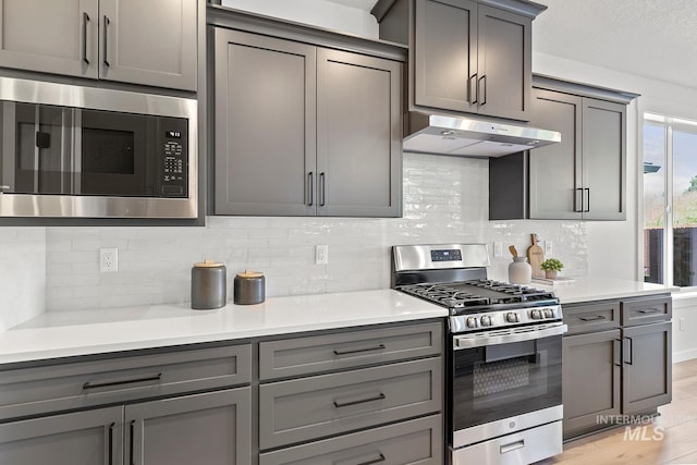 2349 E Valensole St, Meridian, ID 83642 - kitchen with appliances with stainless steel finishes, under cabinet range hood, gray cabinetry, and backsplash
