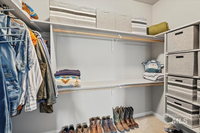 5006 Clearfield St, Caldwell, ID 83605 - spacious closet with carpet flooring