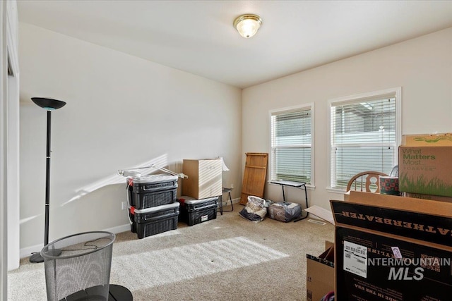 interior space featuring carpet flooring