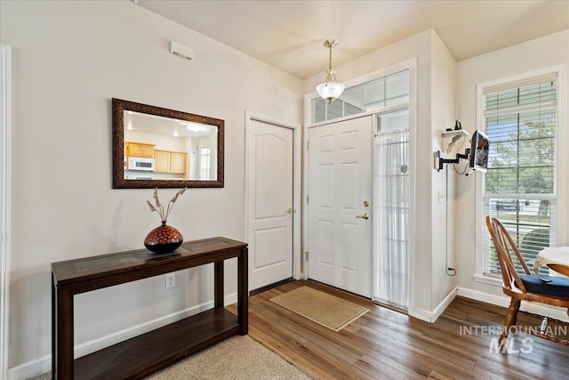 entryway featuring hardwood / wood-style flooring