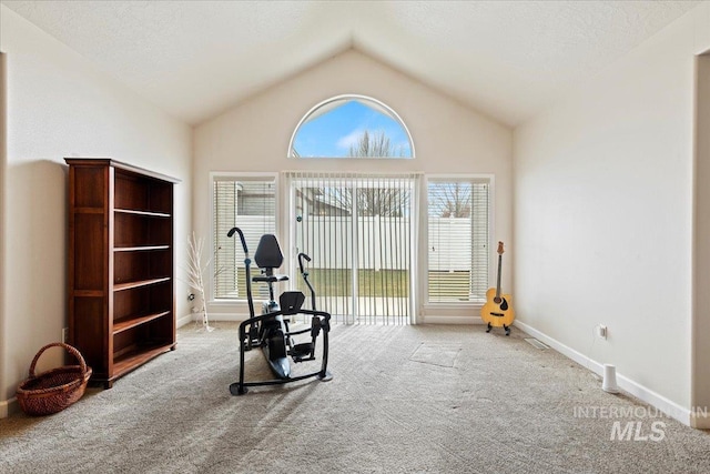 workout area featuring light colored carpet, high vaulted ceiling, and plenty of natural light