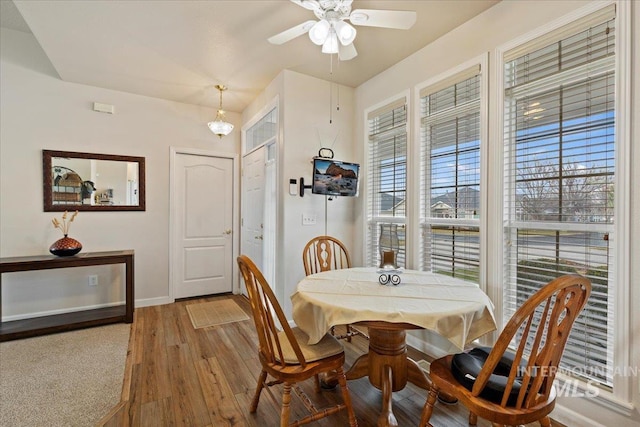 dining area with ceiling fan and hardwood / wood-style flooring