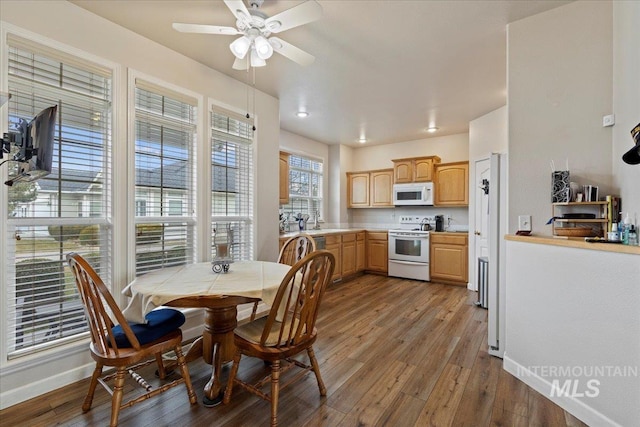 dining area featuring ceiling fan and wood-type flooring