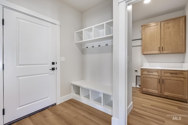 mudroom with light wood-type flooring