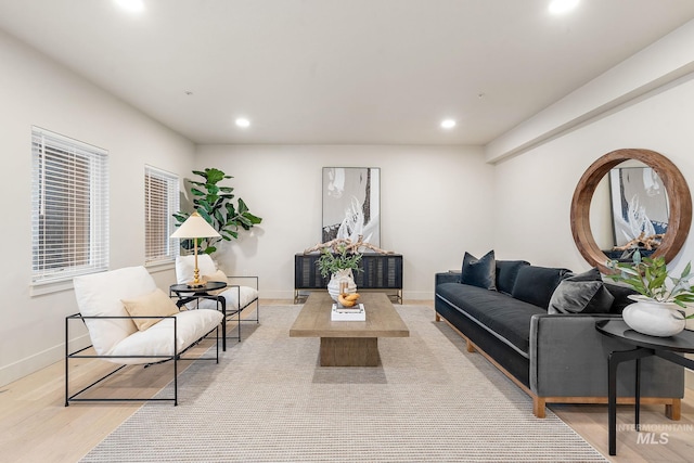 living room with light hardwood / wood-style flooring