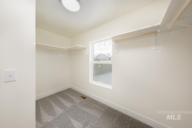 TBD Drum Ln Lot 3A, Parma, ID 83660 - walk in closet with carpet