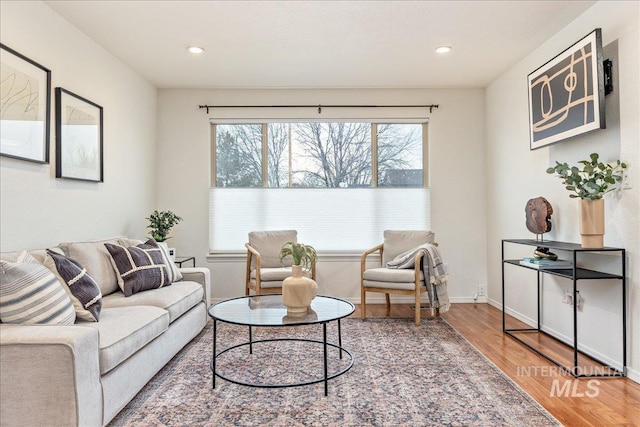 living room with wood-type flooring