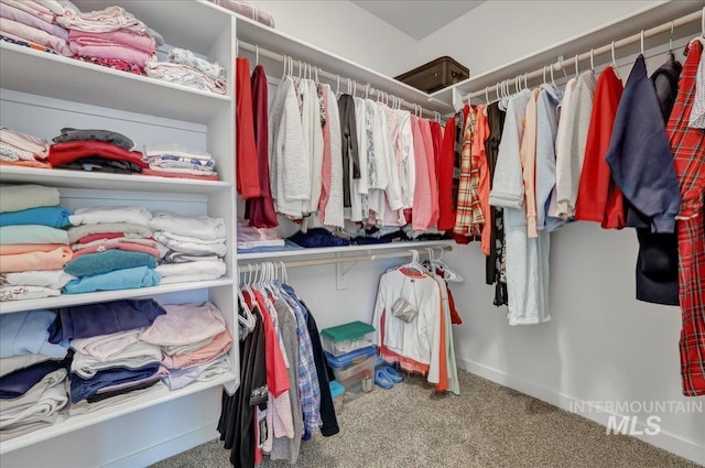 1275 Terra Ave, Twin Falls, ID 83301 - walk in closet featuring carpet