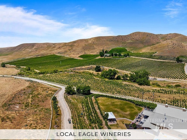 3542 W Retreat St Lot 20/06, Eagle, ID 83616 - mountain view featuring farmland and rural landscape