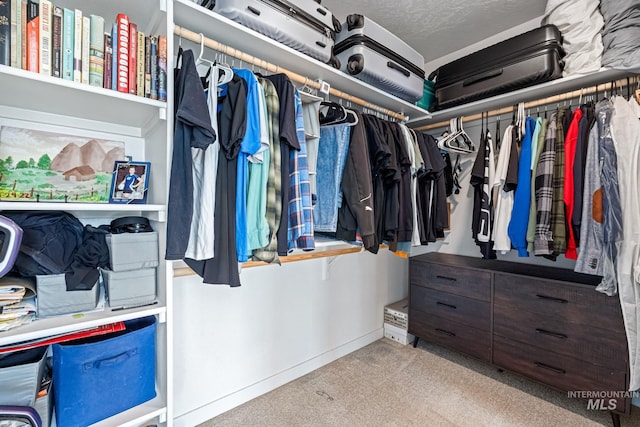 3084 N Network Ln, Boise, ID 83704 - spacious closet with carpet