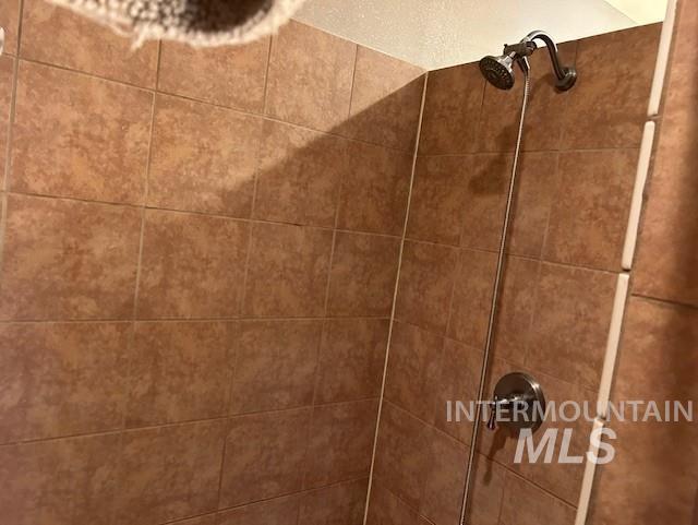1621 Doumecq Rd, Cottonwood, ID 83522 - bathroom view of a tile shower