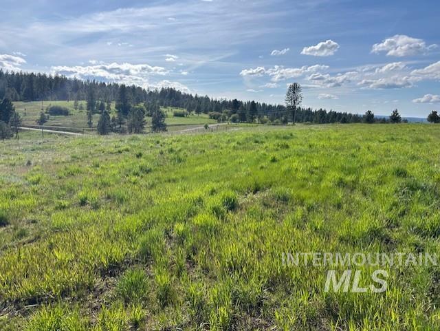 1621 Doumecq Rd, Cottonwood, ID 83522 - view of undeveloped land featuring rural landscape
