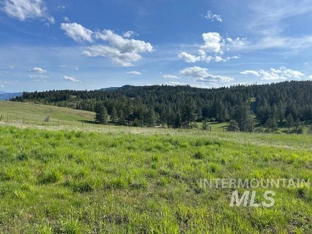 1621 Doumecq Rd, Cottonwood, ID 83522 - mountain view featuring a forest and rural landscape