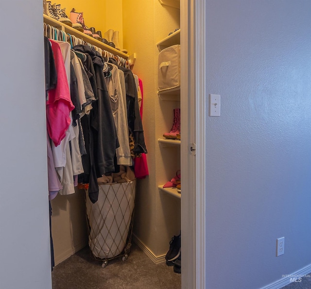 spacious closet with carpet