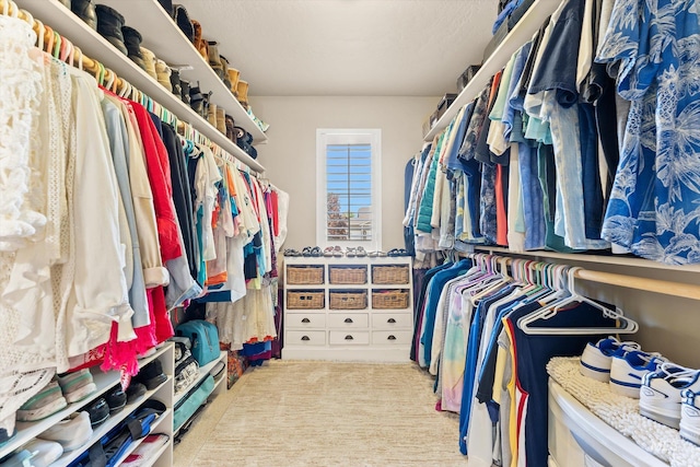 view of spacious closet