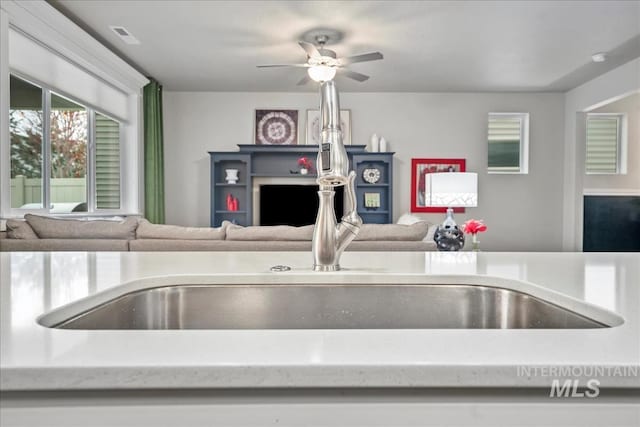 4084 E Esperanto St, Meridian, ID 83642 - room details with visible vents, light countertops, a sink, and ceiling fan