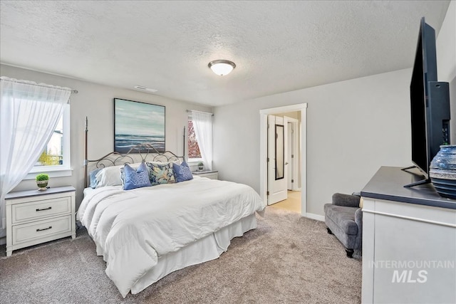 4084 E Esperanto St, Meridian, ID 83642 - bedroom featuring carpet flooring, visible vents, a textured ceiling, and baseboards