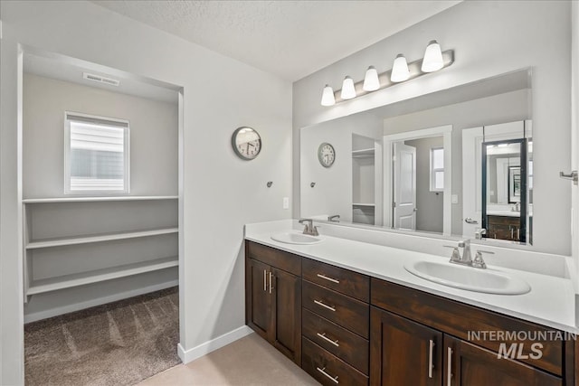 4084 E Esperanto St, Meridian, ID 83642 - bathroom featuring a sink, visible vents, baseboards, and double vanity