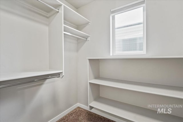 4084 E Esperanto St, Meridian, ID 83642 - walk in closet with carpet floors