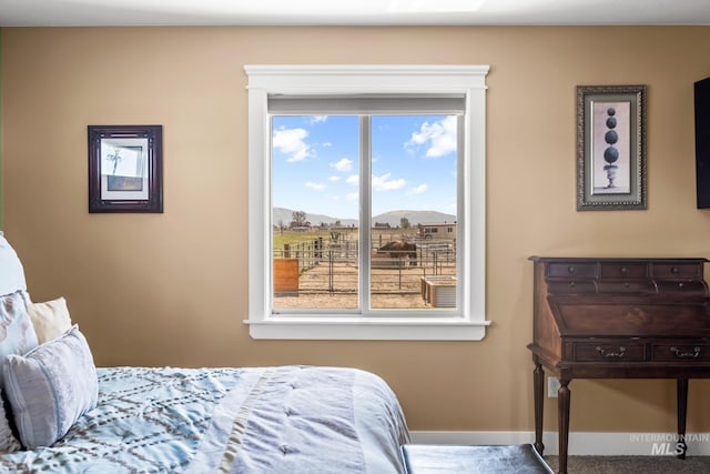 11 W 300 S, Burley, ID 83318 - bedroom with carpet floors and baseboards