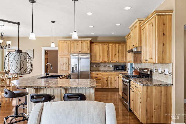 11 W 300 S, Burley, ID 83318 - kitchen with under cabinet range hood, light brown cabinets, stainless steel appliances, and a sink