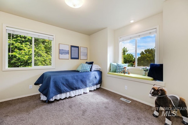 992 N Pinnacle, Eagle, ID 83616 - carpeted bedroom with baseboards