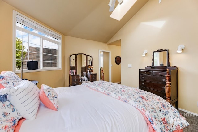 992 N Pinnacle, Eagle, ID 83616 - carpeted bedroom with a skylight, baseboards, and vaulted ceiling