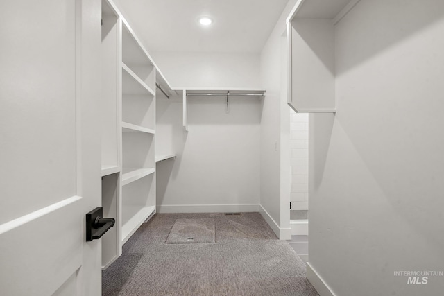 1700 Black Elm, Star, ID 83669 - spacious closet featuring carpet floors