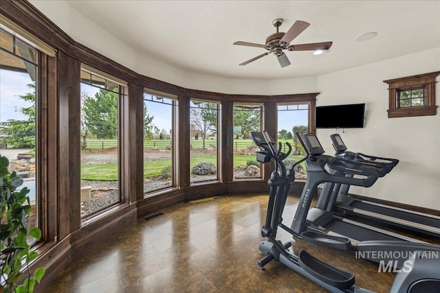 7600 W Ledgerwood Ln, Meridian, ID 83646 - exercise area with a ceiling fan and visible vents