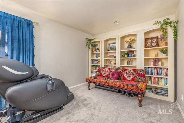 sitting room featuring baseboards and carpet floors