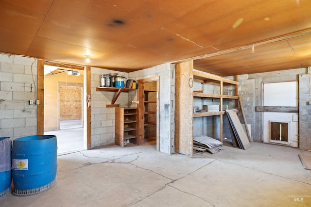 basement featuring a fireplace